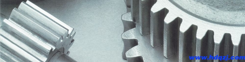 齒輪 齒輪